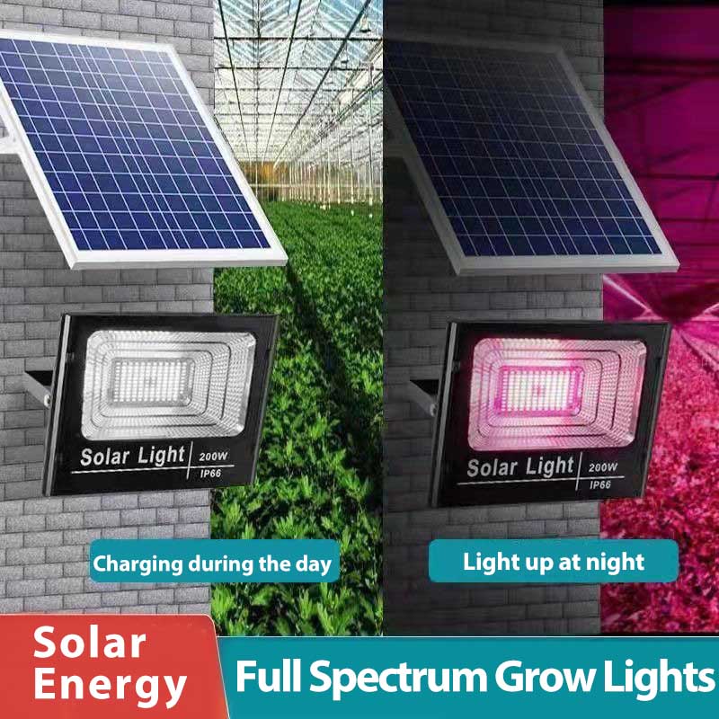 Solar LED Grow Light Full Spec - đánh giá và giá Outdoor Power And Plant