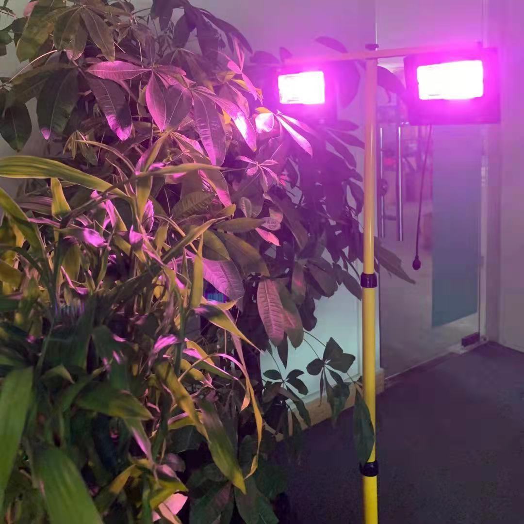 Solar LED Grow Light Full Spec - đánh giá và giá Outdoor Power And Plant