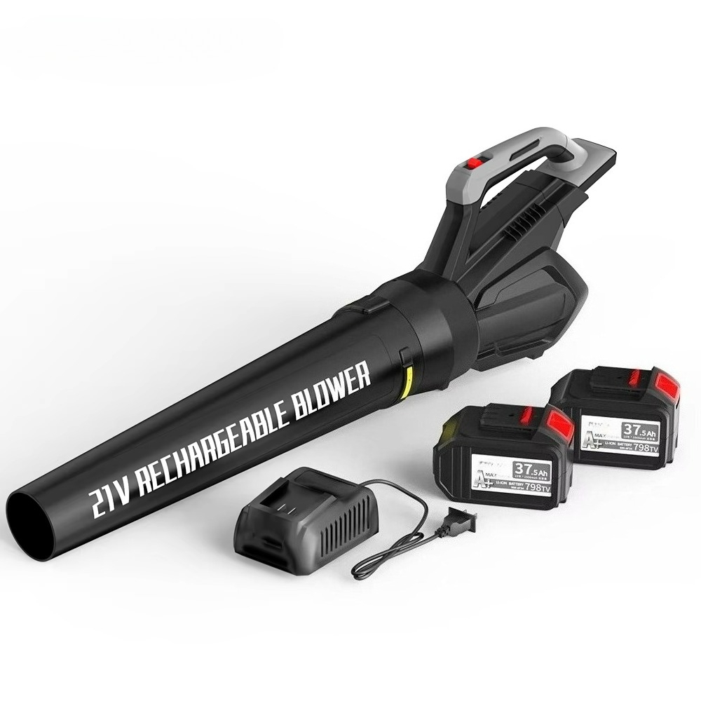Cordless Leaf Blower with Batt - đánh giá và giá Leaf Blower Cordless